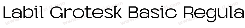 Labil Grotesk Basic Regular字体转换